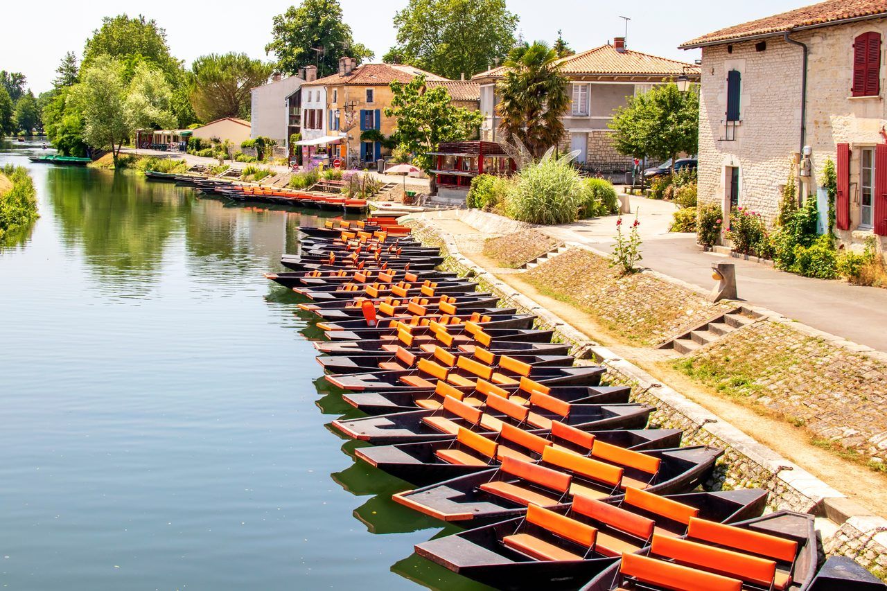 Coulon Venise Verte