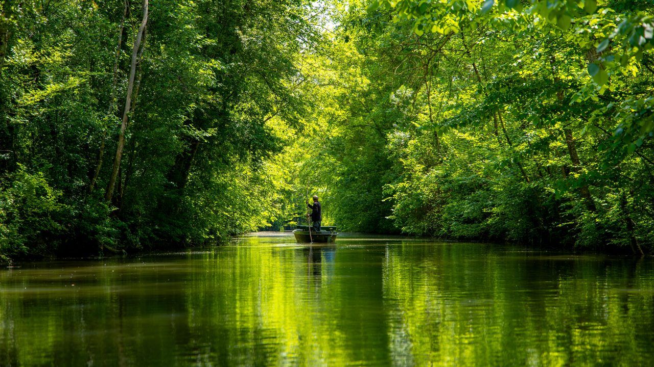 Visiter le Marais Poitevin : le guide complet de la Venise Verte (2026)