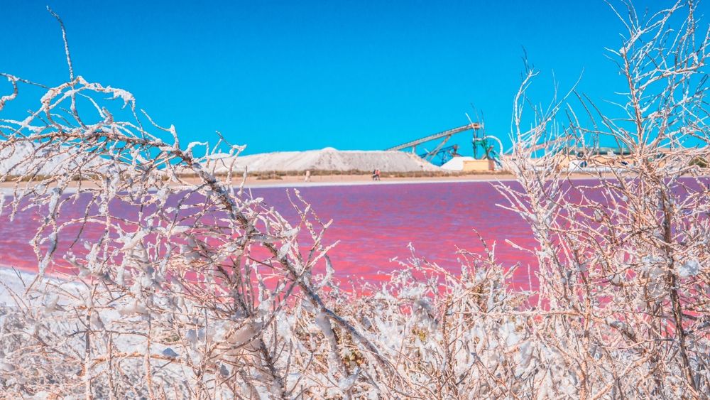 sels-marais-salants