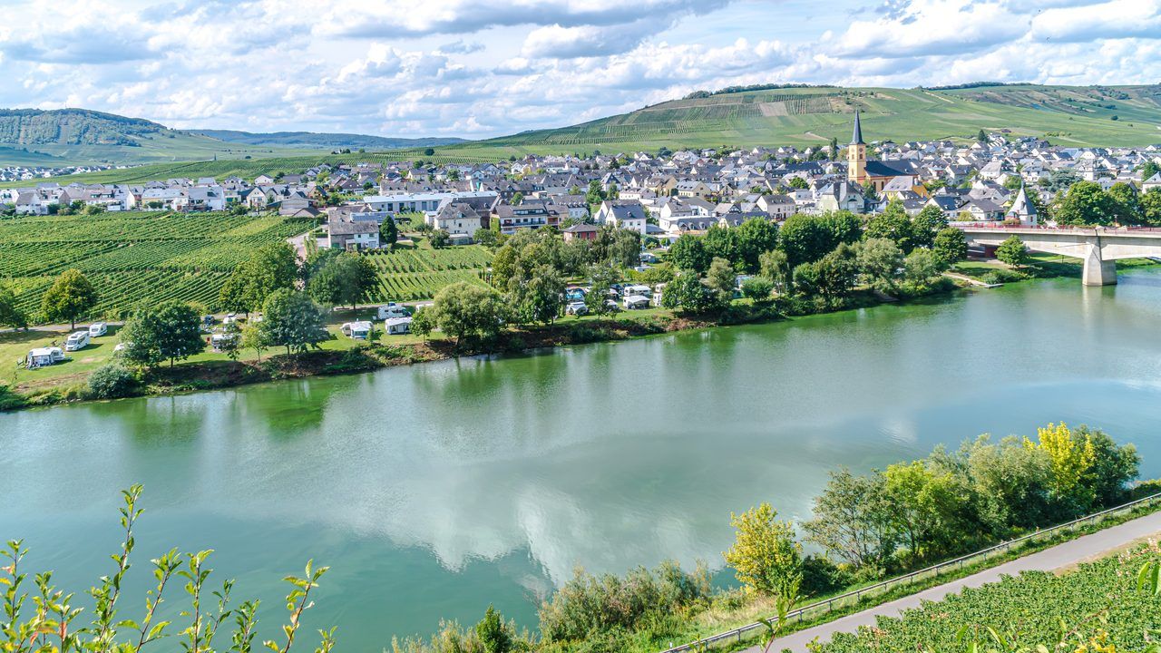 Moselle vignoble