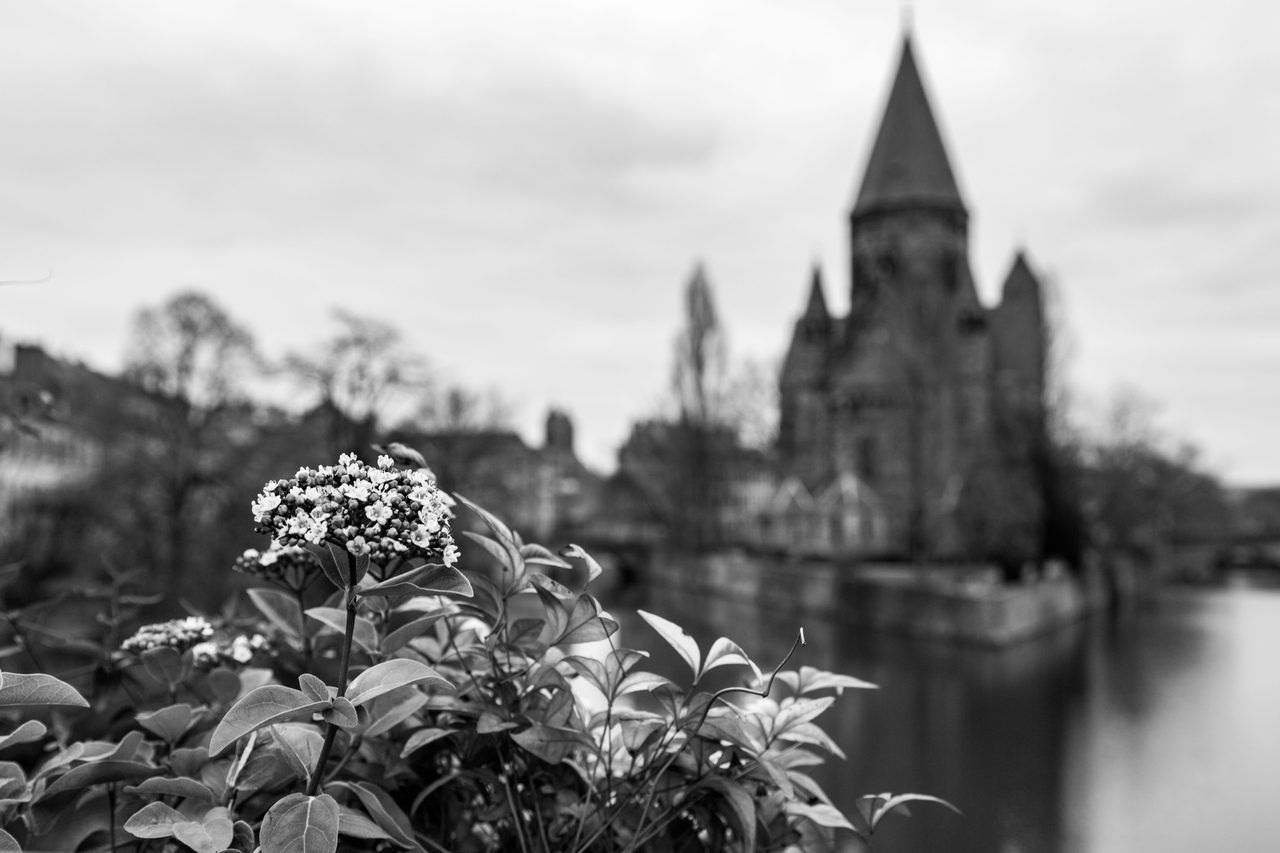 Temple Neuf Metz