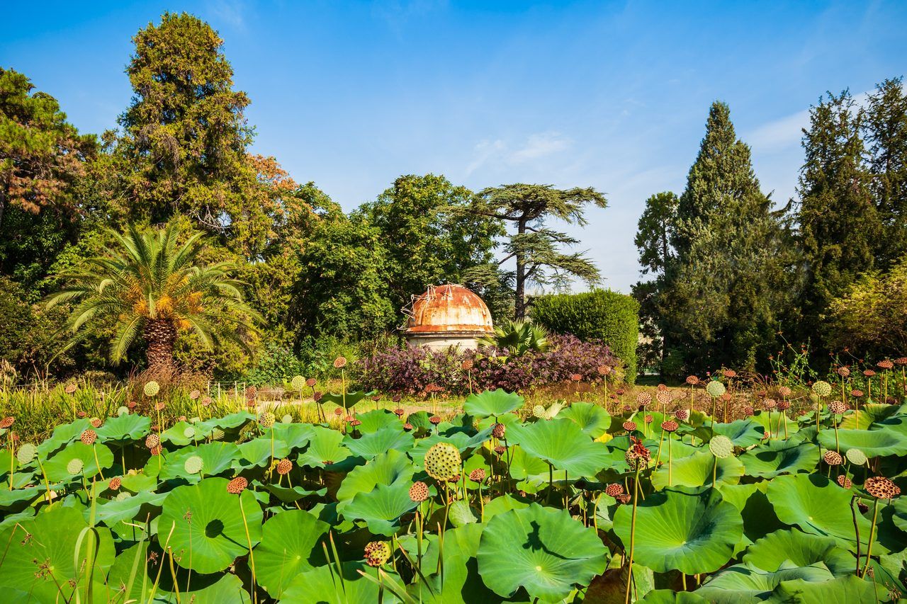 Jardin des Plantes Montpellier