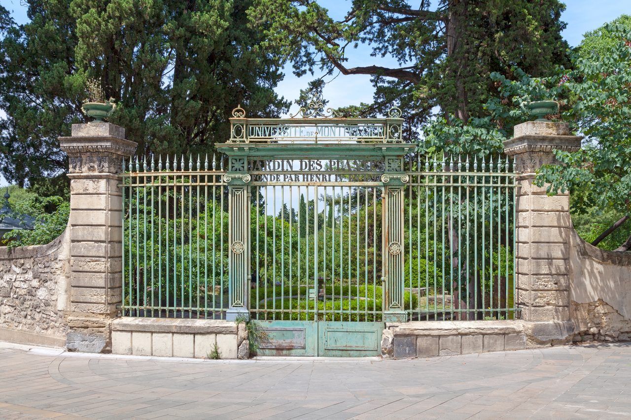 Jardin des Plantes Montpellier