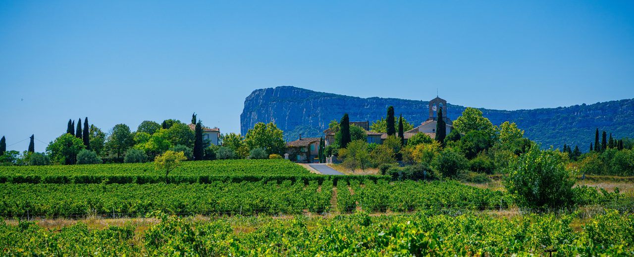 Pic Saint-Loup