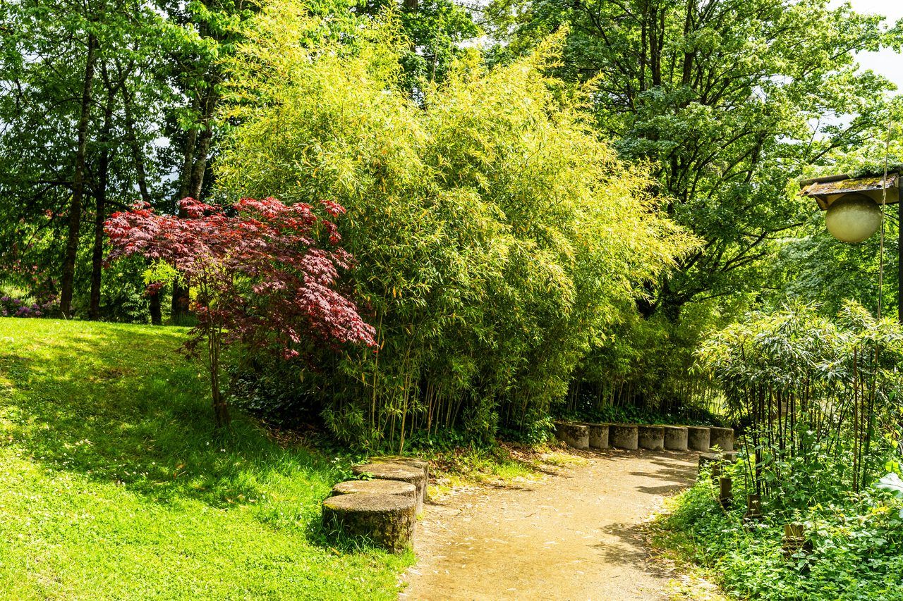 Île de Versailles Nantes