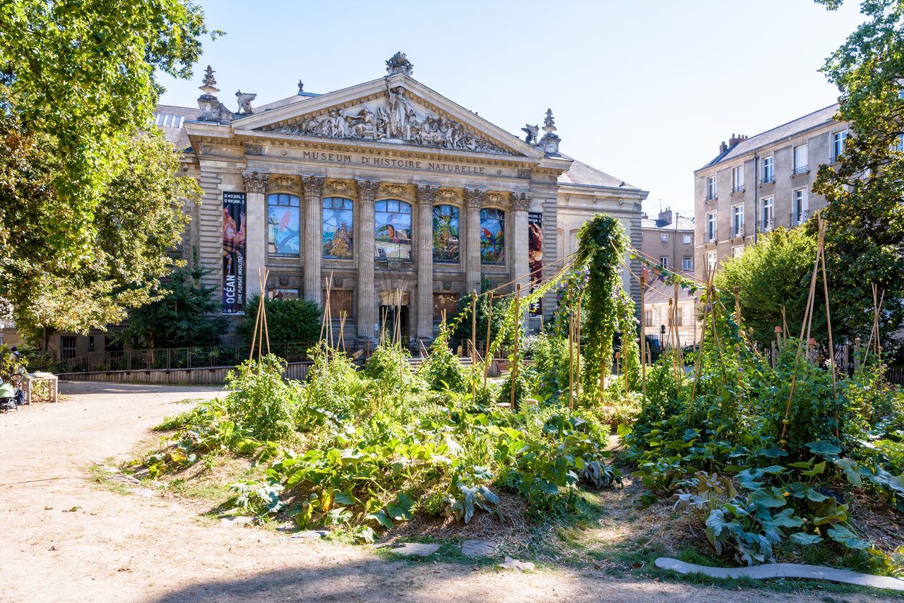 Muséum d'histoire naturelle Nantes