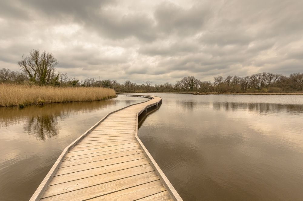 chaussee-bois-etang-rosnay