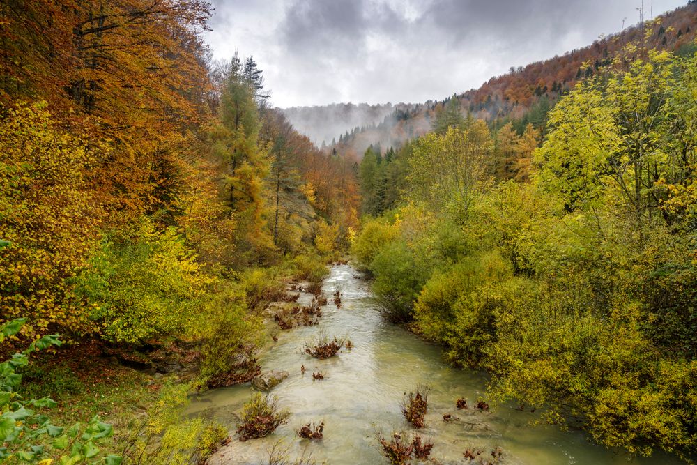 foret-iraty