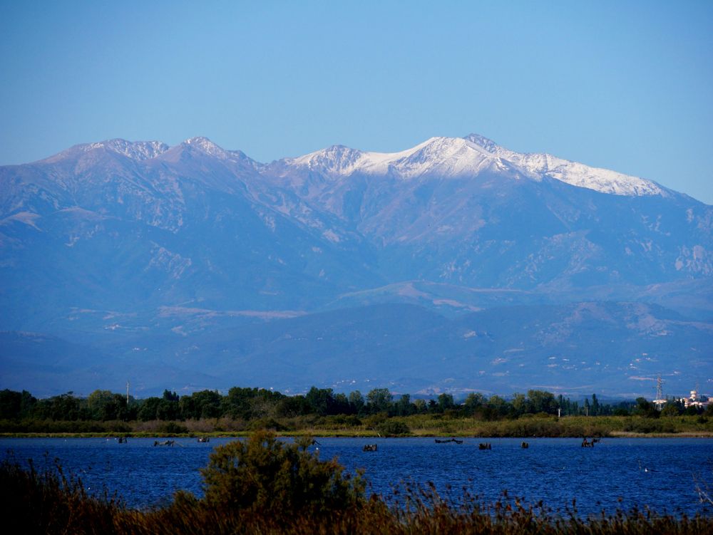 Canet,En,Roussillon,,Pyrénées,Orientales/france, ,09/12/2019,:,Mount,Canigou