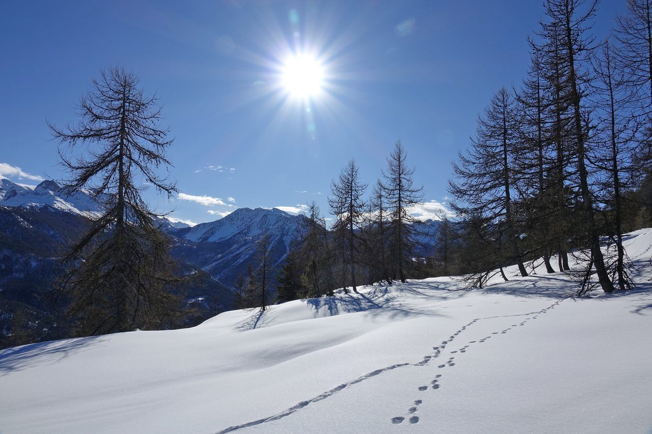 ski nordique Queyras