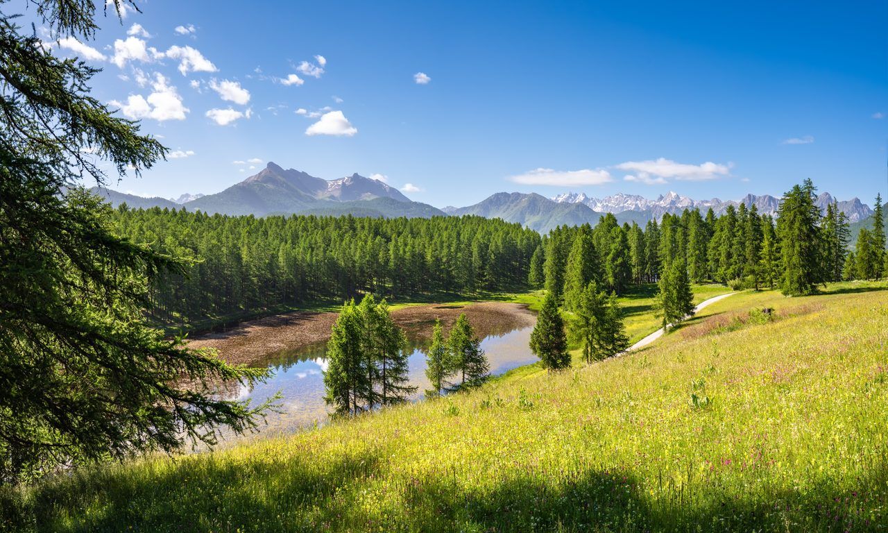 Queyras été