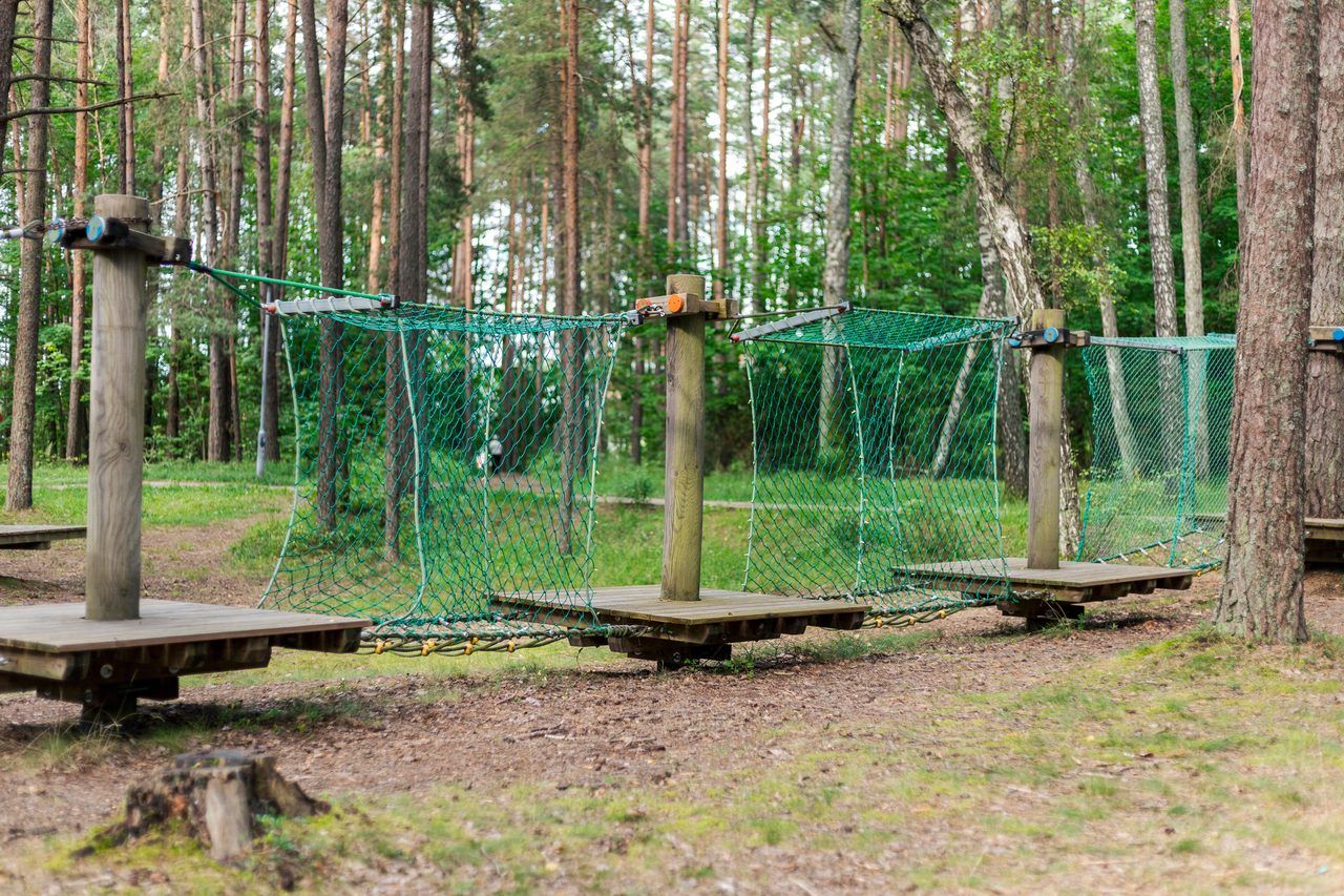 accrobranche forêt enfants