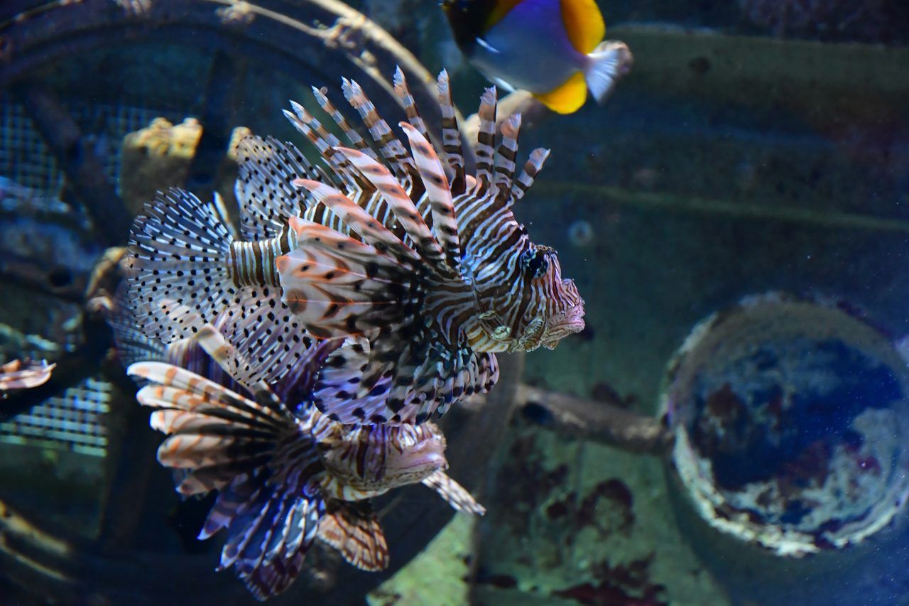Grand Aquarium Saint-Malo