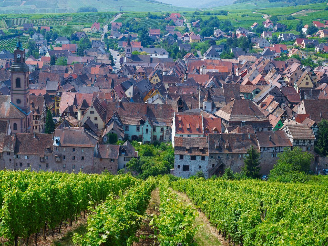 Route des vins Alsace