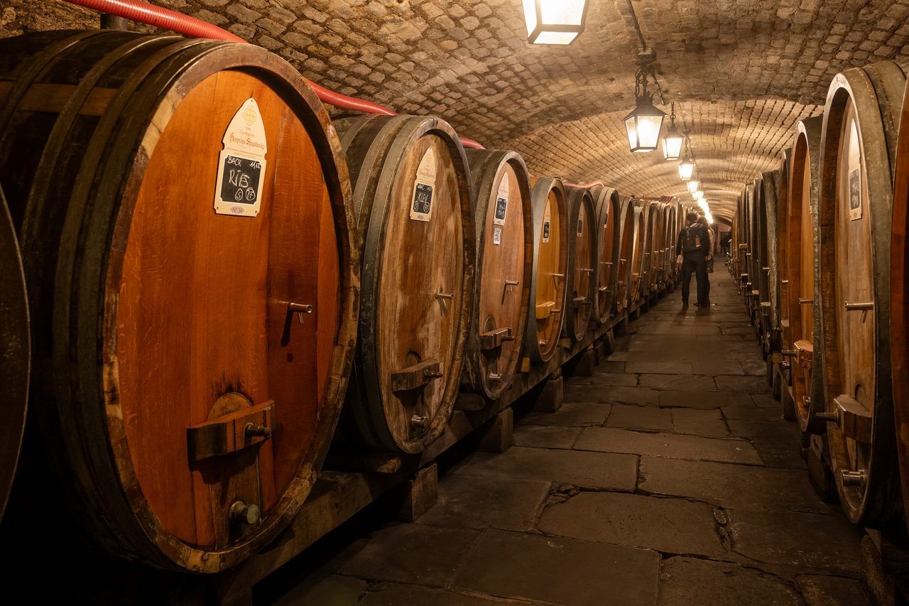 Cave des Hospices de Strasbourg