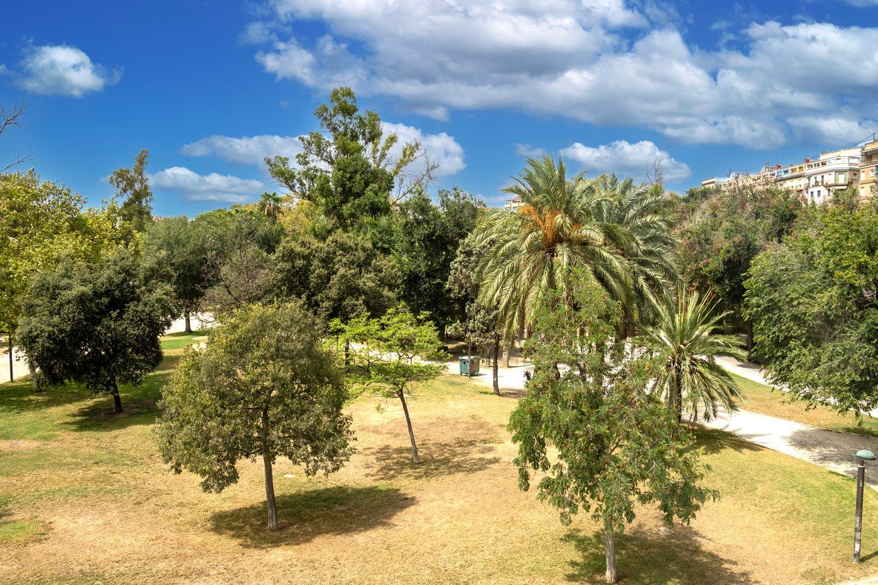 Jardín del Turia