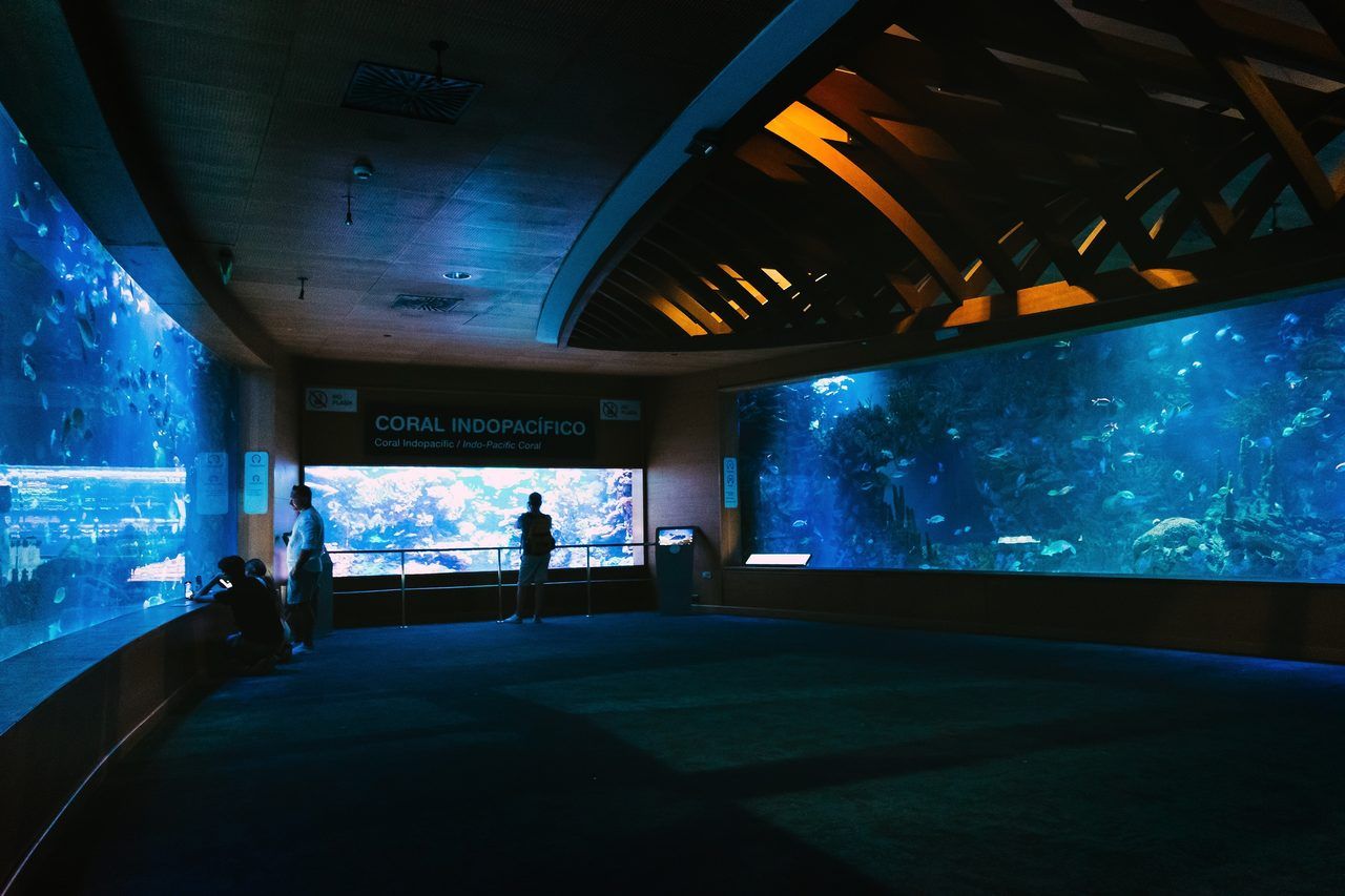 Oceanogràfic Valence