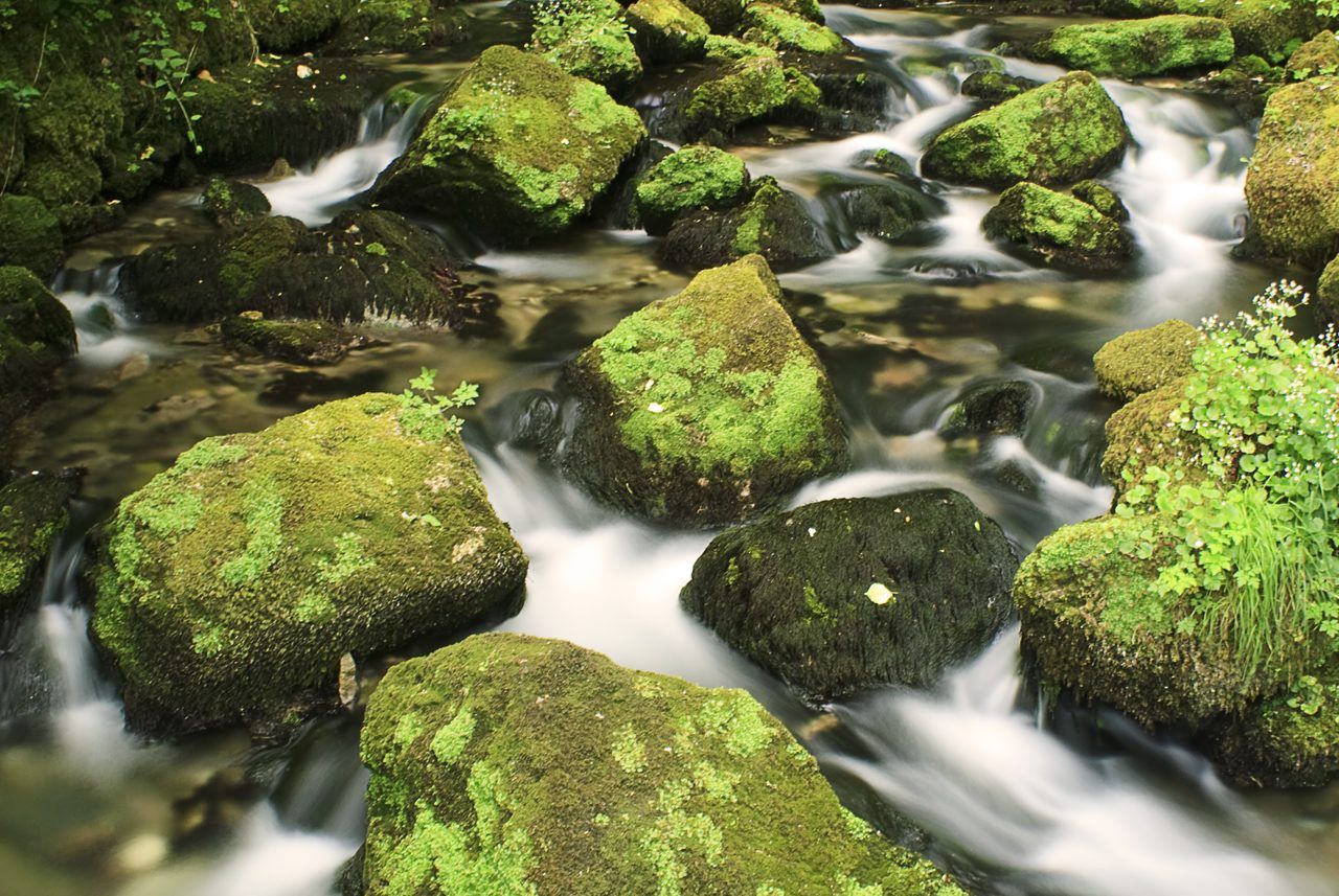 Gorges du Furon