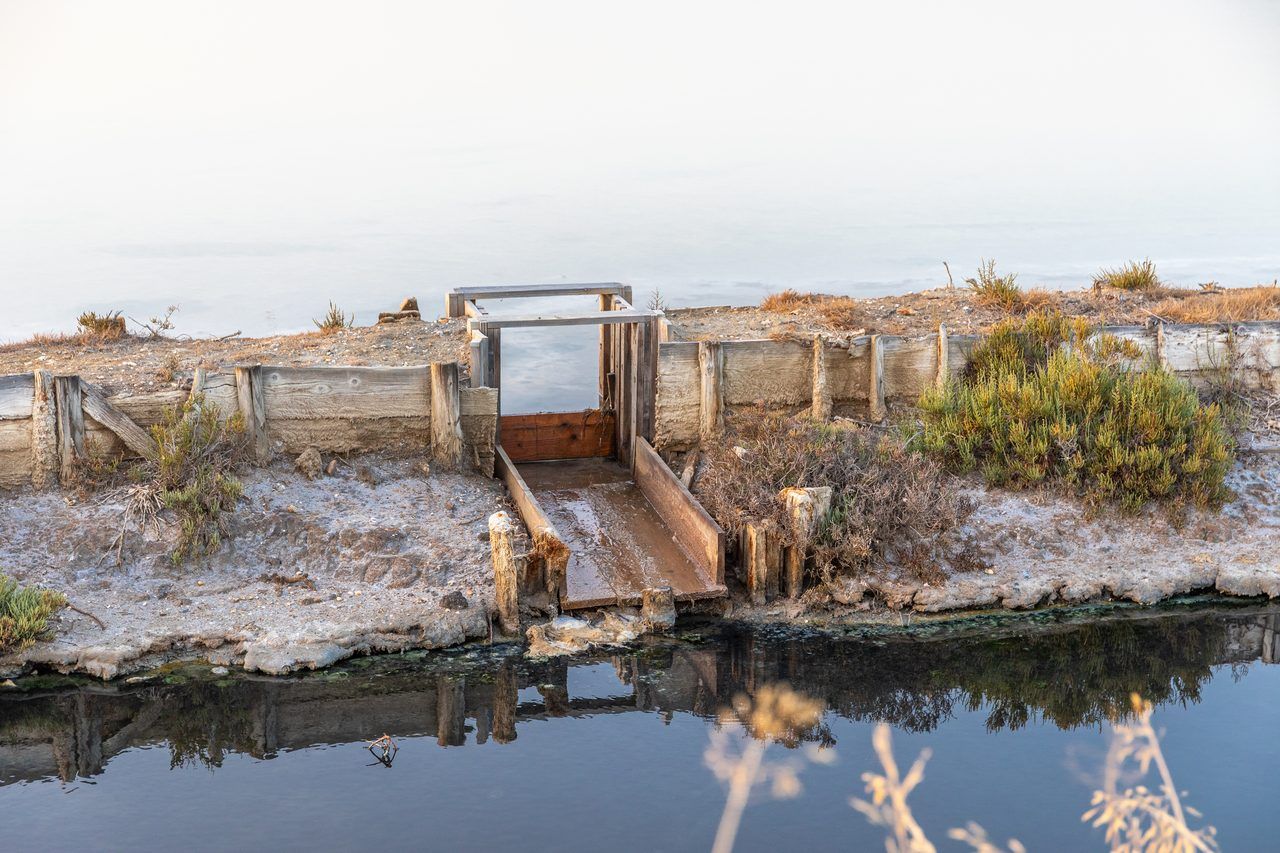 Salins des Pesquiers