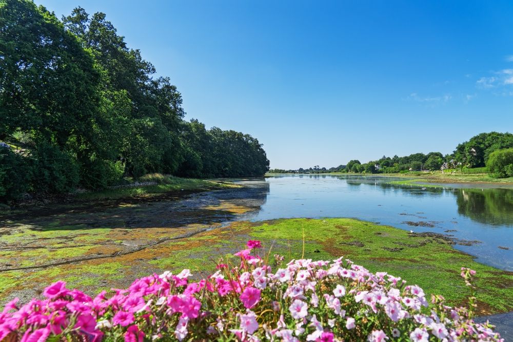 The,Forêt fouesnant,Ria,At,High,Tide,Under,A,Bright,Blue