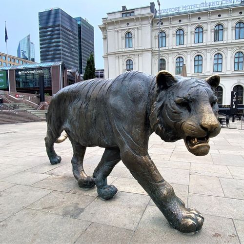 Le Tigre