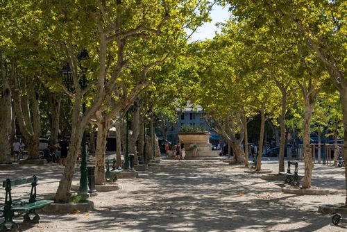 Place des Lices