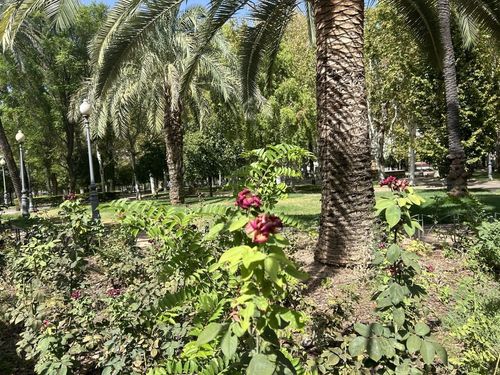 Jardins de la Merced