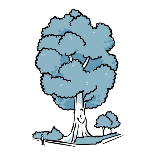 Les gros arbres de Séville