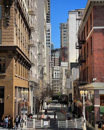 Maiden Lane