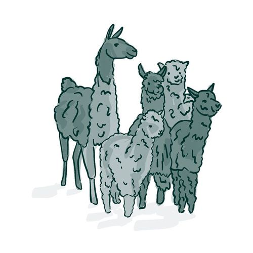 Mundo Alpaca