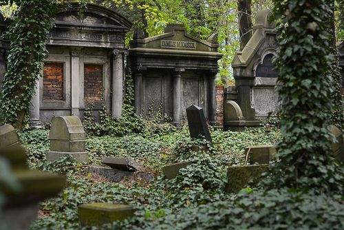 Nouveau cimetière Juif