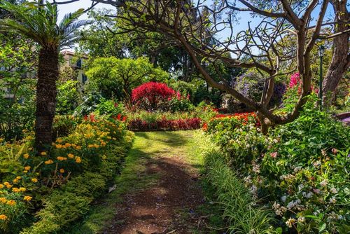 Jardin municipal de Funchal