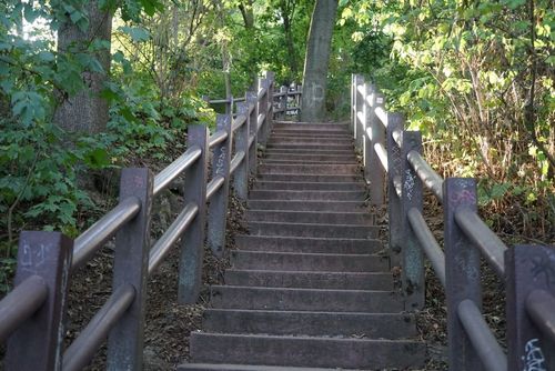 Filbert Steps et les Perroquets sauvages