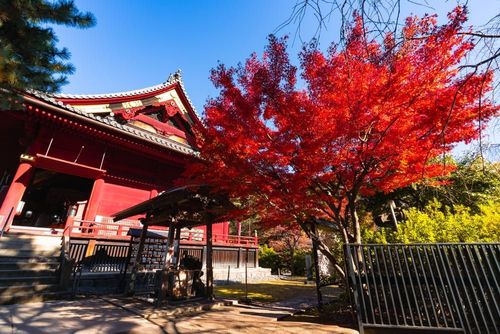 Temple Kannon-do