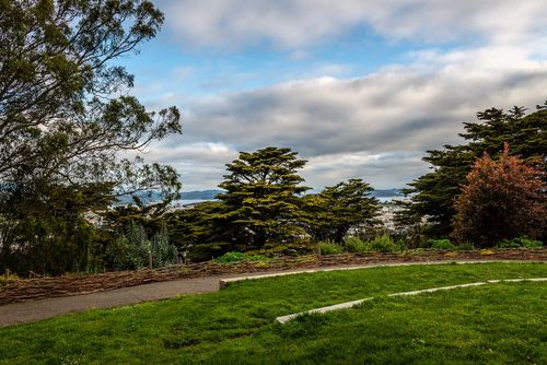 Buena Vista Park