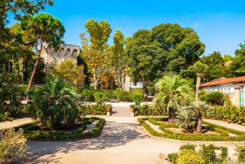 Jardin des plantes (Pt 2)