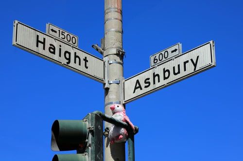 Haight Ashbury