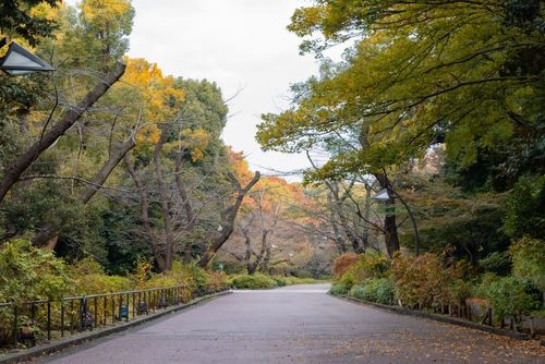 Parc d'Ueno