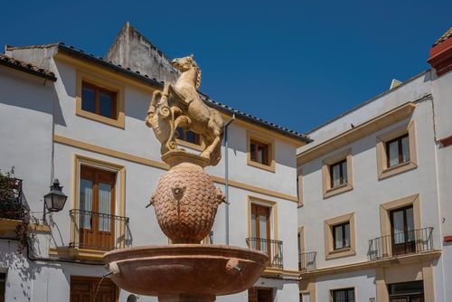 Place del Potro