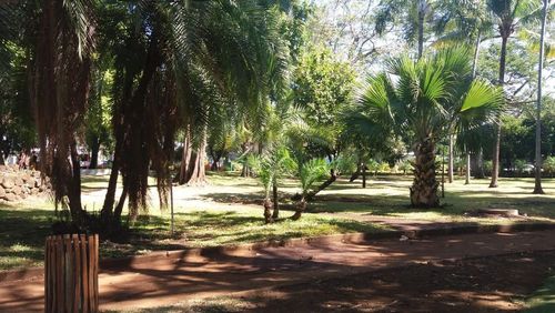Jardin de l'État