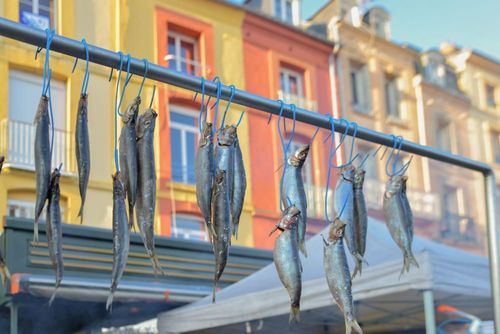 Le hareng, poisson roi de Dieppe