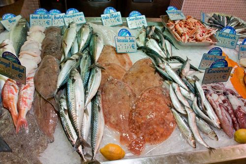 Quiberon Fish Auction 