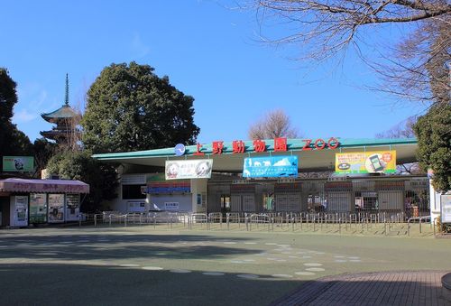 Zoo d’Ueno