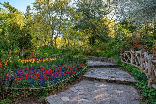 Shakespeare Garden