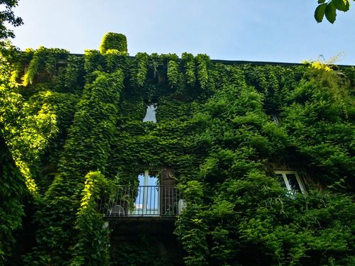 Jardin botanique de Brera