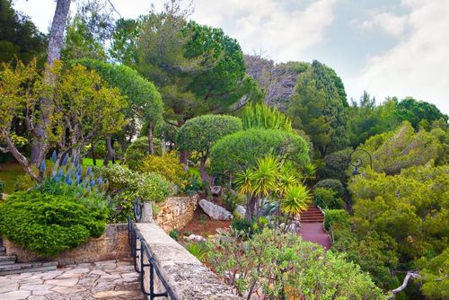 Los jardines de San Martín