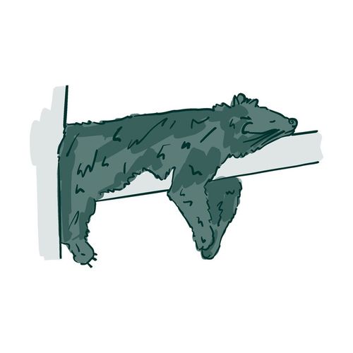 Zoo du parc