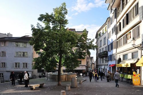 Rue Niederdorf