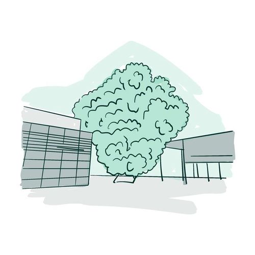 Aoyama Tree