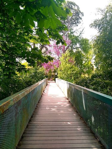 Jardin des plantes